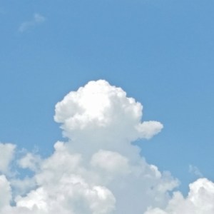 20150627_132321